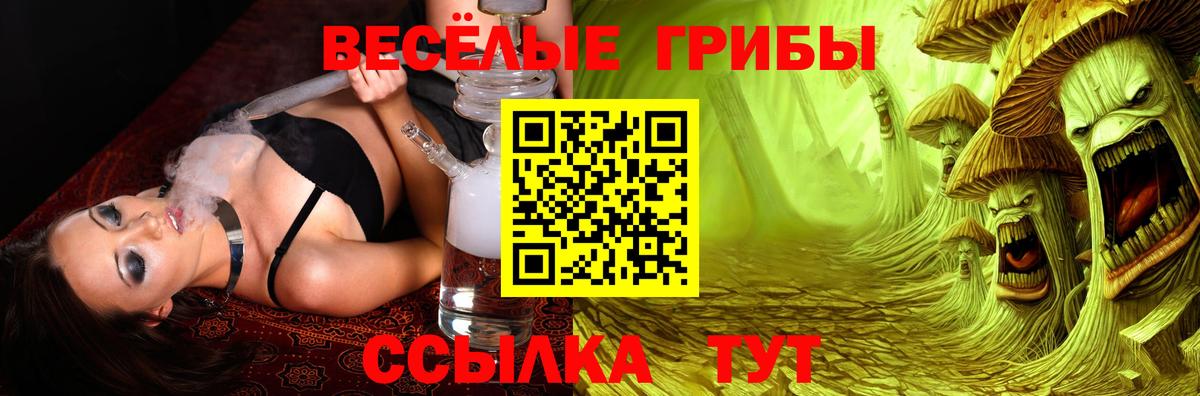 Галлюциногенные грибы мухоморы  Галлюциногенные грибы Psilocybe  Гулькевичи  Вход с VPN 
